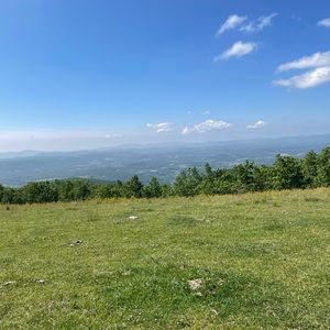 Meet your Posher, Anne